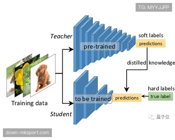 权威数据模型预测：梅斯降级概率高达89%